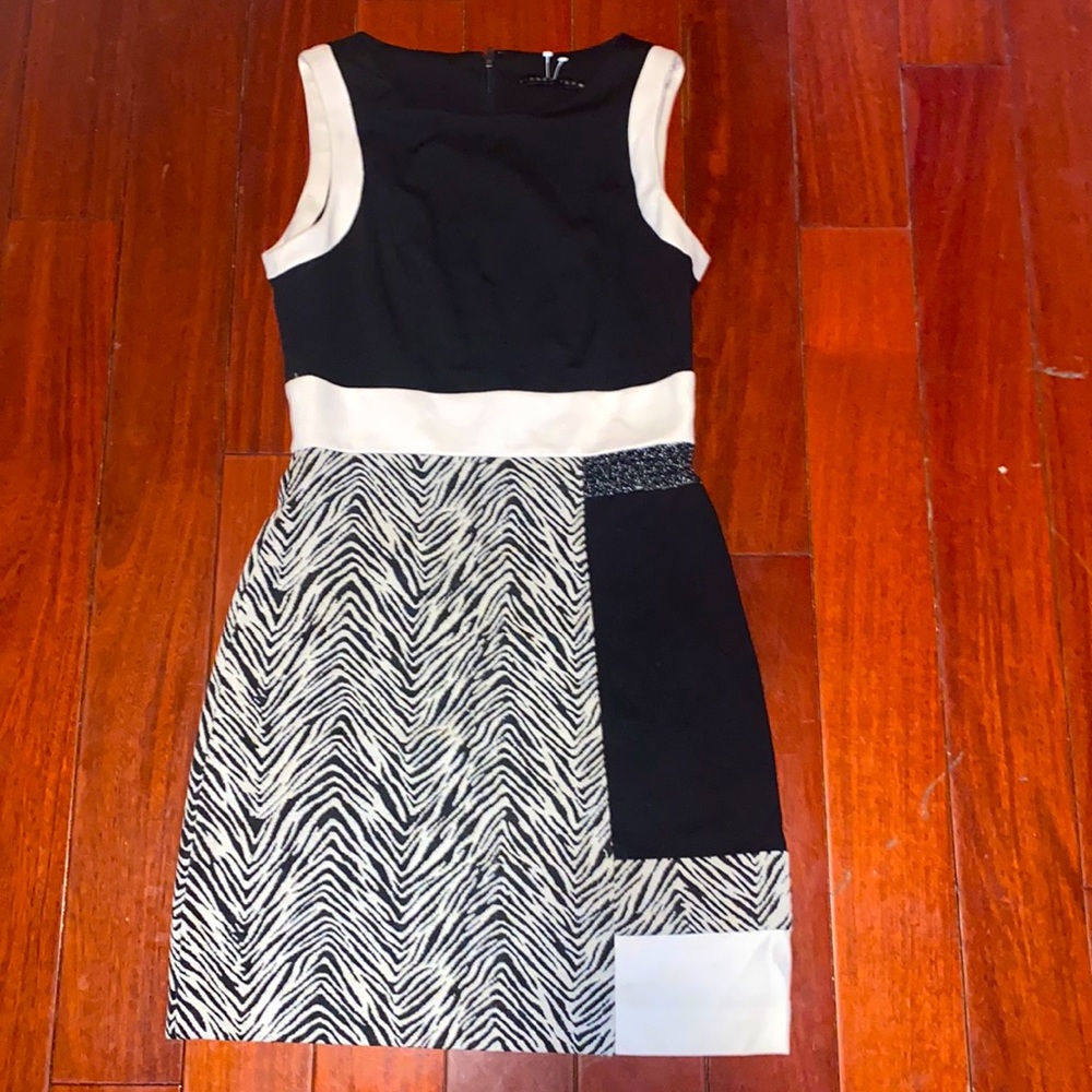 Black and white block and zebra print dress